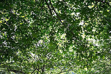 《完蛋被美女包围前传》角色韦知遥介绍 给她涂防晒霜